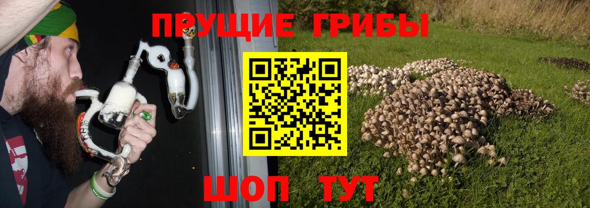 Галлюциногенные грибы мухоморы  Вход с VPN  Барабинск 